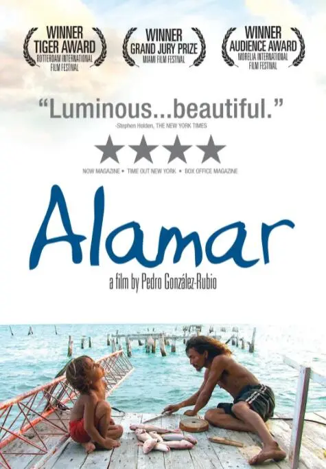 《拥抱大海》影评：一场关于生命、救赎与希望的蓝色诗篇，你准备好潜入了吗？